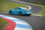 Porsche 718 Cayman GT4 2019 года (WW)